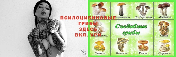соль ск Нязепетровск