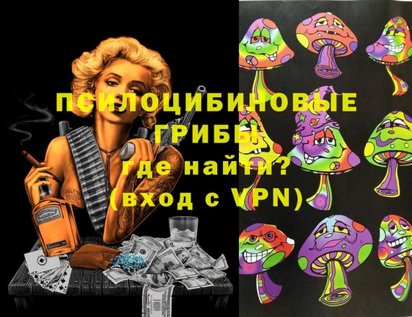 первитин Горняк