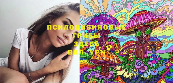 не бодяженный Няндома