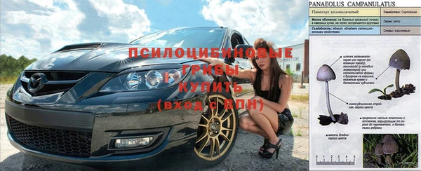 spice Новозыбков