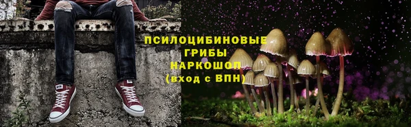 соль ск Нязепетровск